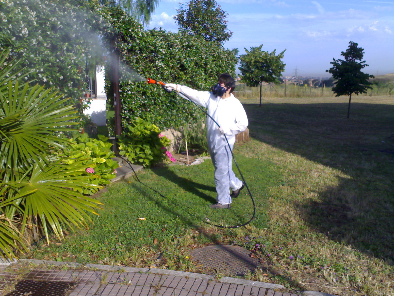 DISINFESTAZ1